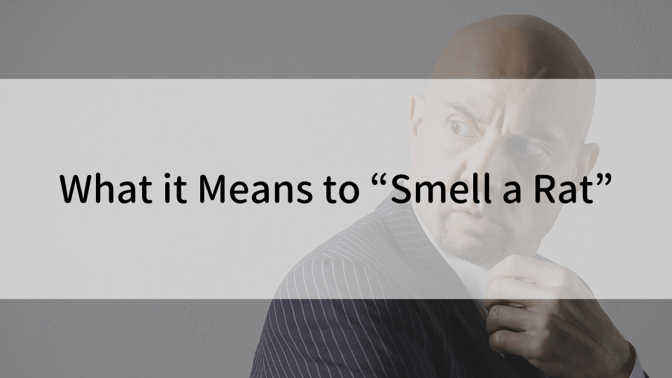 ケンジントン英会話ブログ：「smell a rat」ってどういう意味？ネズミを嗅ぐ？！ - うさんくさいと思う