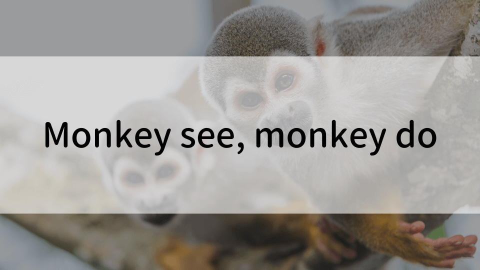 ケンジントン英会話ブログ：「monkey see, monkey do」ってどういう意味？【例文付き】