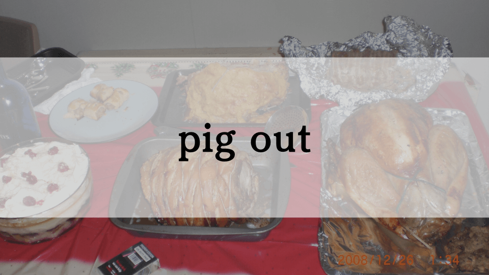 ケンジントン英会話ブログ：【クリスマスで使える英語】「pig out」 - 食べすぎる、大食いする