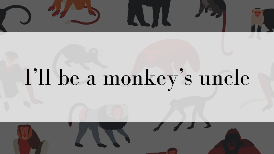 ケンジントン英会話ブログ：「I'll be a monkey's uncle」ってどういう意味？猿の叔父になる？！ - 驚き、信じられない